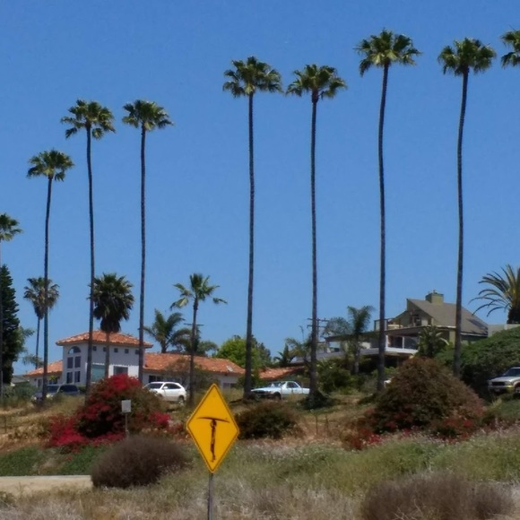 Meet your Posher, John - Picture 1 of 1